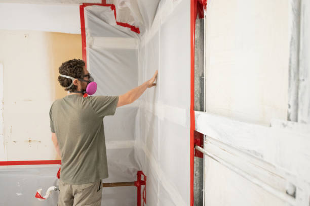 Best Crawl Space Mold Remediation  in Fairmont, MN