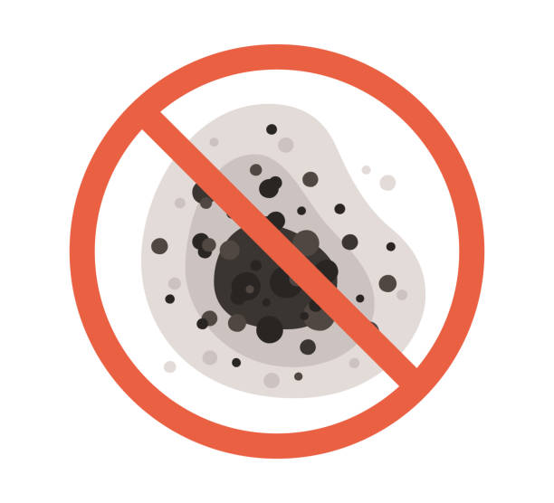 Best HVAC Mold Inspection and Cleaning  in Fairmont, MN