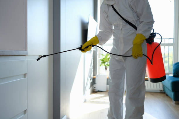 Best Commercial Mold Inspection  in Fairmont, MN