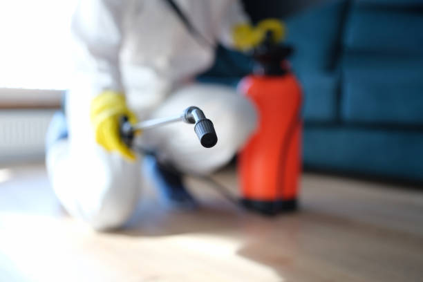 Best Residential Mold Inspection & Testing  in Fairmont, MN