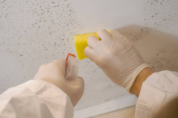 Best Air Quality Testing for Mold Spores  in Fairmont, MN